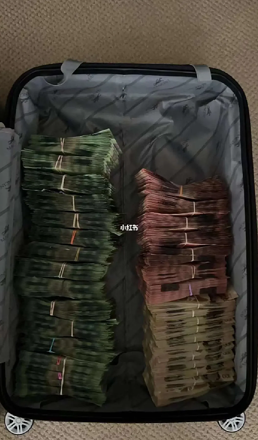 华人捡到行李箱，竟发现几十万现金和中国驾照！网友猜测不断（组图） - 2