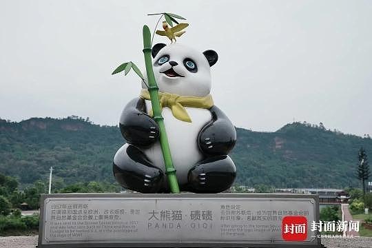 “四川雅安大熊猫雕塑穿和服”引热议！真相来了......（组图） - 4