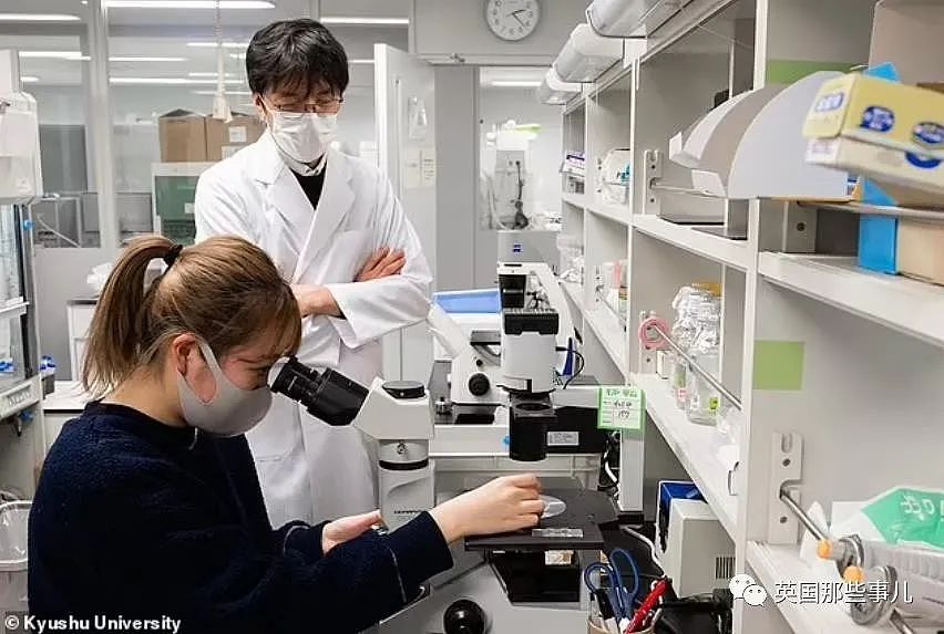直接在实验室里造精子和卵子，用人造子宫怀胎！日本科学家打算5年内实现？（组图） - 7