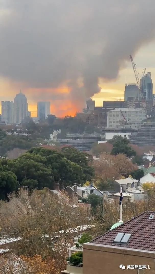 悉尼遭“50年最大火灾“，整栋楼被烧塌！嫌疑人是几个熊孩子？（组图） - 5