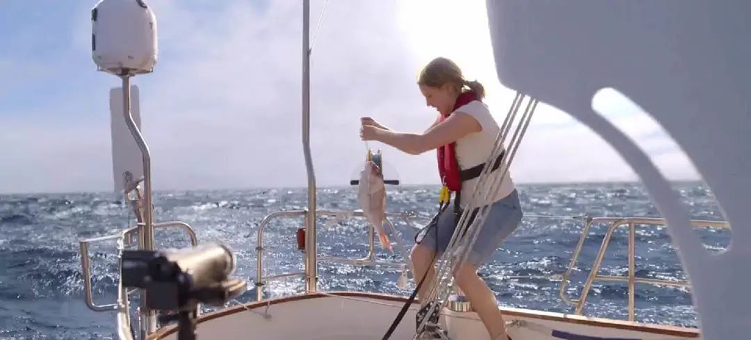 澳洲16岁女孩独自海上航行210天：从小被爹妈“放养”的人生，太飒了！（组图） - 8