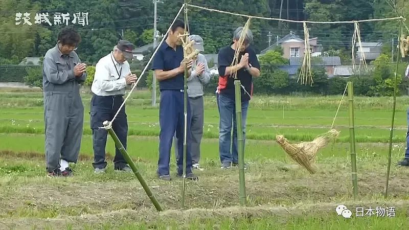 太污！日本茨城奇怪的风俗：野外啪啪可以让稻谷收成更丰硕（组图） - 3