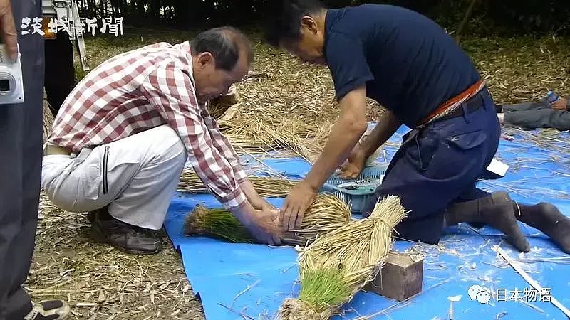 太污！日本茨城奇怪的风俗：野外啪啪可以让稻谷收成更丰硕（组图） - 8