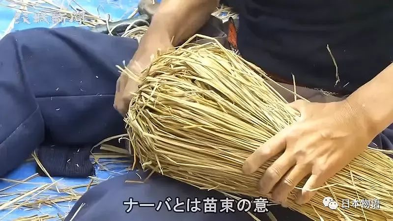 太污！日本茨城奇怪的风俗：野外啪啪可以让稻谷收成更丰硕（组图） - 6