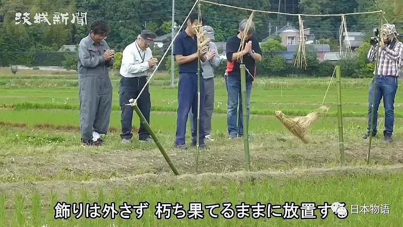 太污！日本茨城奇怪的风俗：野外啪啪可以让稻谷收成更丰硕（组图） - 11