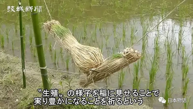 太污！日本茨城奇怪的风俗：野外啪啪可以让稻谷收成更丰硕（组图） - 1