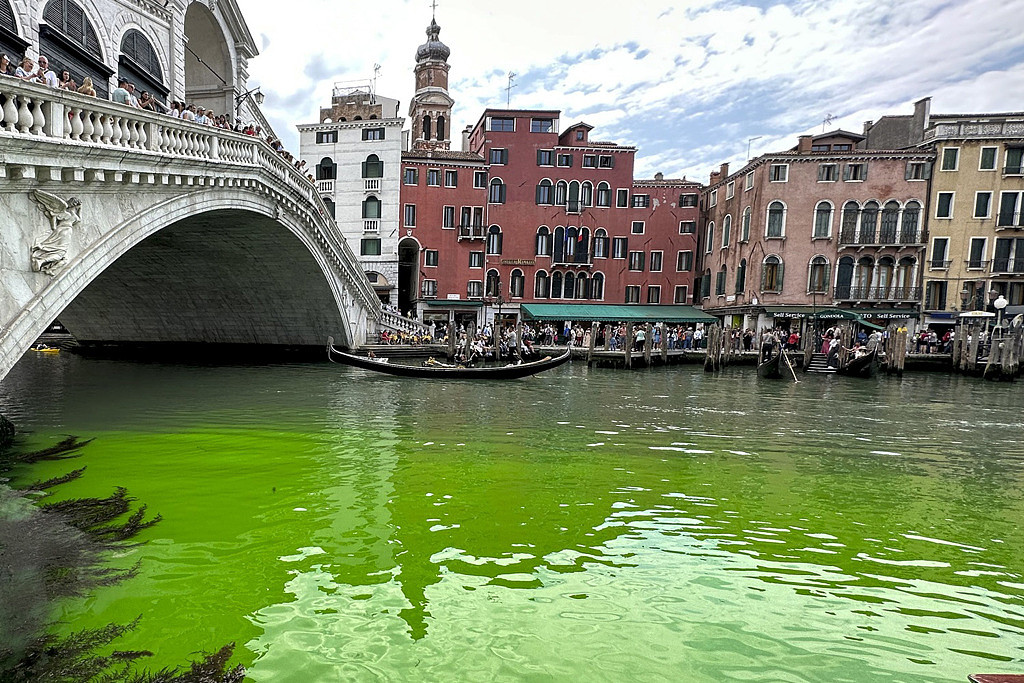 威尼斯运河惨变萤光绿， 环团急澄清：不是我们（视频/组图） - 2