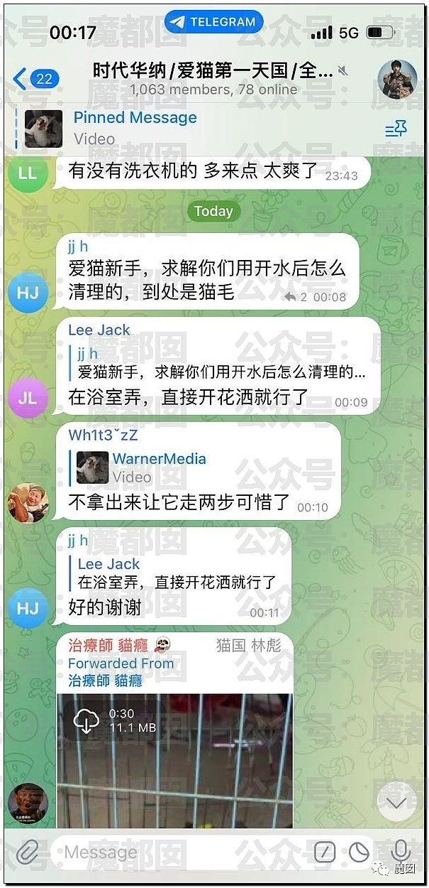 震惊全网！疯狂丈夫当着妻子面砍死柯基+家暴到鼻青脸肿（视频/组图） - 14