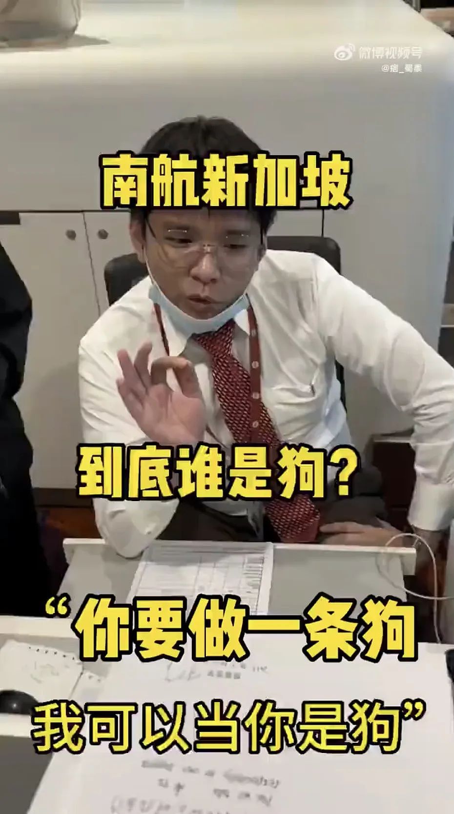 新加坡柜台人员假装听不懂中文还辱骂中国旅客是“狗”，南航回应（组图） - 3