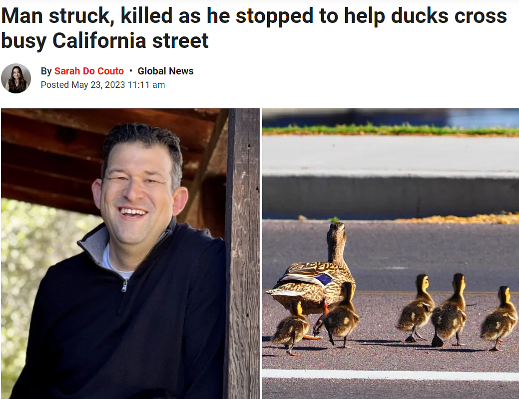 加拿大男子为保护鸭子过街酿惨烈车祸，获刑8个月+禁止3年开车（组图） - 7