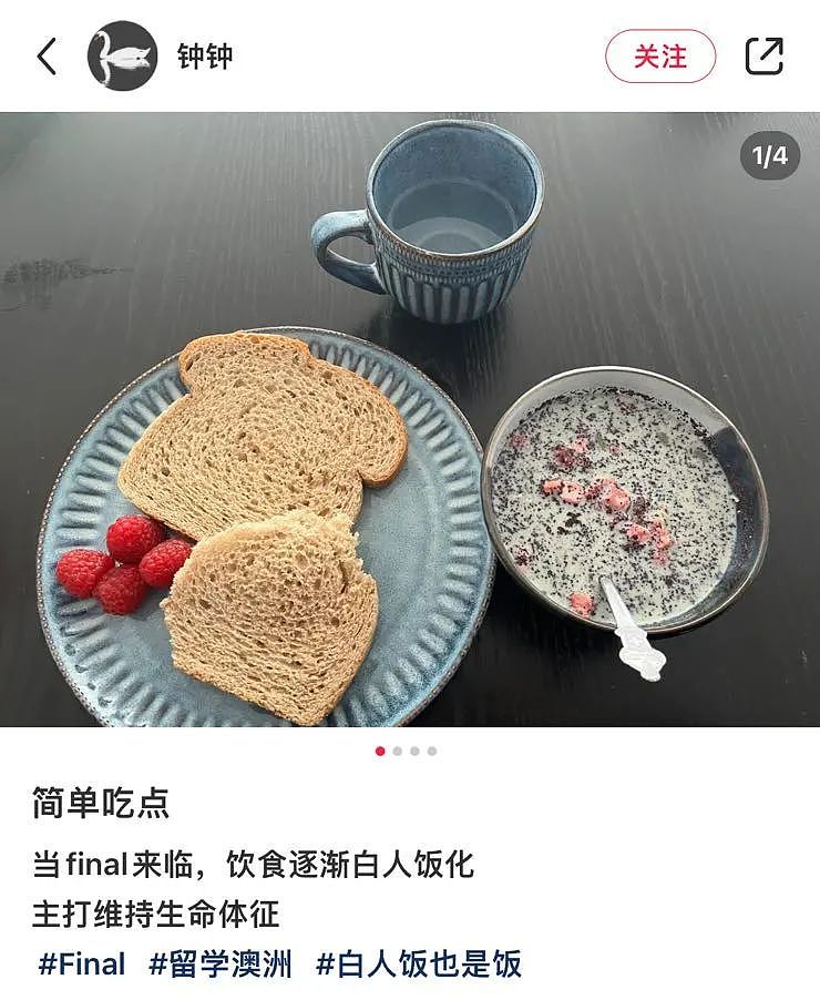 全网爆火“白人饭”，芝士胡萝卜、生蘑菇开啃..澳洲网友惊呼：同事这样吃已经一年了（组图） - 8