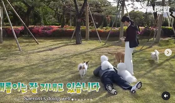 50岁韩国第一夫人上节目，白到发光很显嫩，领养猫狗走出流产伤痛（组图） - 1