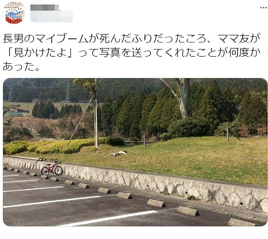 日本小男孩每天“死”一次，邻居吓到要报警？妈妈分享到网上，笑翻20w网友哈哈哈哈（组图） - 6