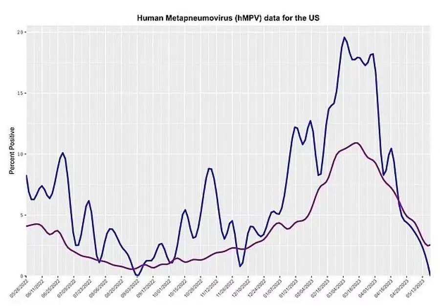 不是新冠不是甲流！该国正暴发这一病毒，感染100天后死亡率43%（组图） - 1