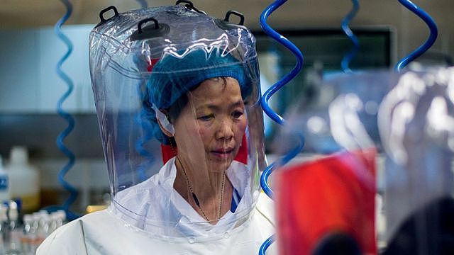 新冠病毒溯源：顶级中国科学家称不该排除实验室泄露（组图） - 3