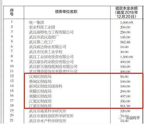 武汉财政局公开催债，债务背后的两个20%（组图） - 1