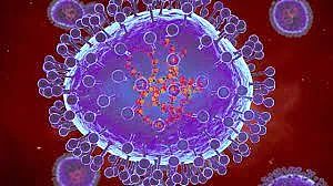 死亡率43%！一种不为人知“致命病毒”正在美国肆虐，症状与流感 新冠极为相似（组图） - 5