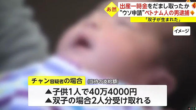 小伙在日本谎报生了20多对双胞胎，骗了1600万补助（组图） - 8