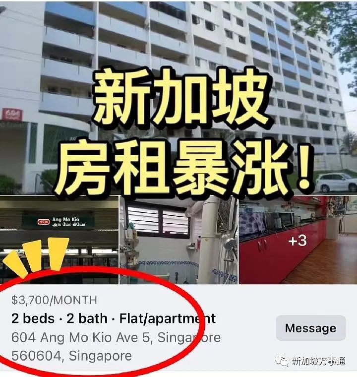 从“淘金时代”到“中产地狱”，新加坡实力劝退一大批中国打工人！（组图） - 14