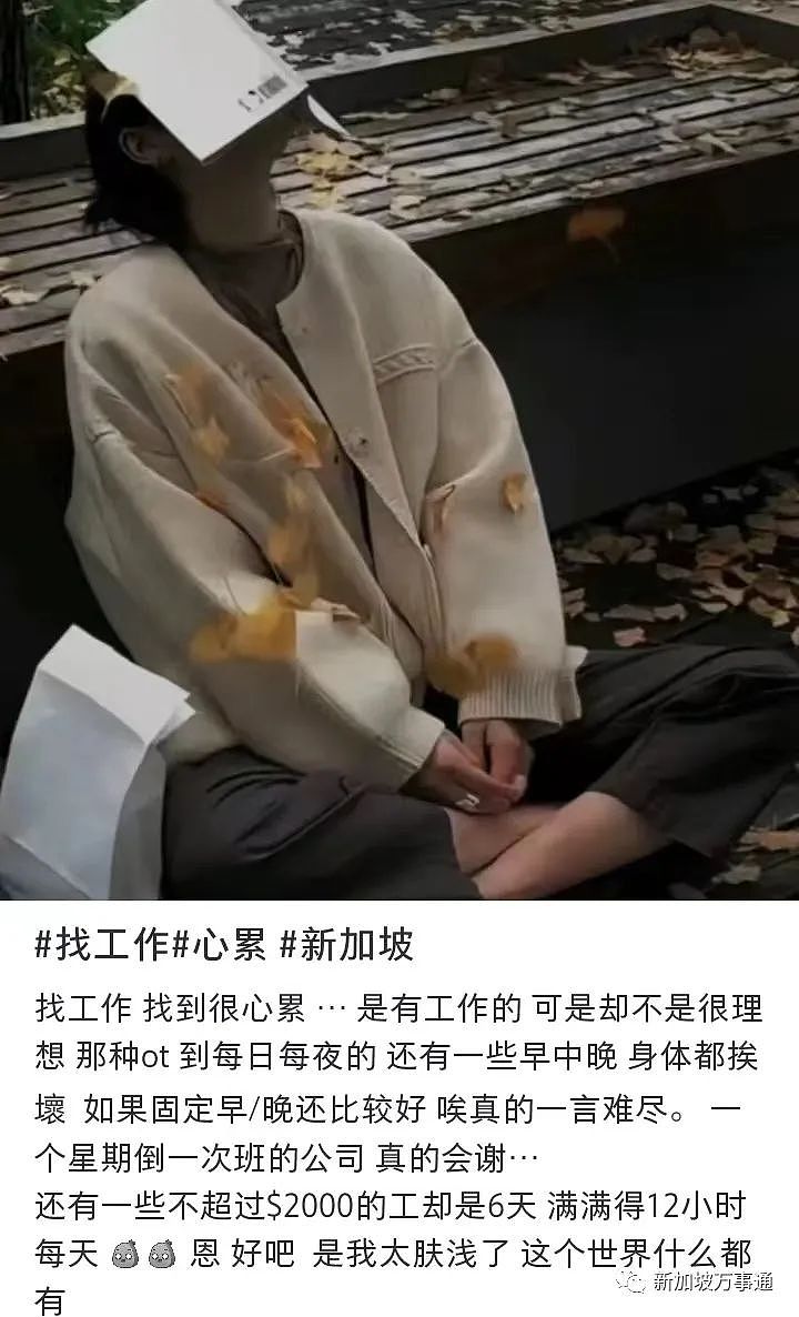 从“淘金时代”到“中产地狱”，新加坡实力劝退一大批中国打工人！（组图） - 30