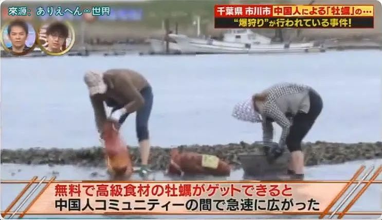 中国大妈火了！非法乱扔牡蛎壳被举报，跪地哭求警察放过…（视频/组图） - 5