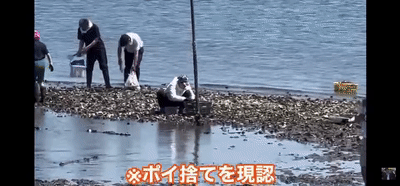 中国大妈火了！非法乱扔牡蛎壳被举报，跪地哭求警察放过…（视频/组图） - 9