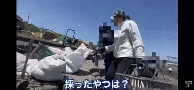 中国大妈火了！非法乱扔牡蛎壳被举报，跪地哭求警察放过…（视频/组图） - 11