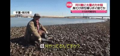 中国大妈火了！非法乱扔牡蛎壳被举报，跪地哭求警察放过…（视频/组图） - 4