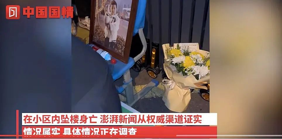 武汉小学生在校被撞身亡，10天后母亲坠楼身亡！层层深挖，背后凶手，让人不寒而栗（组图） - 15