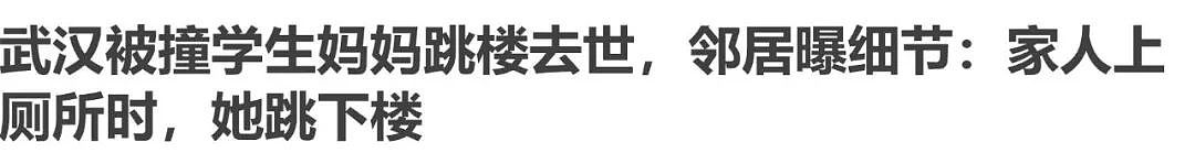 武汉小学生在校被撞身亡，10天后母亲坠楼身亡！层层深挖，背后凶手，让人不寒而栗（组图） - 1