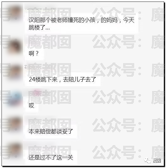 气炸！被碾压身亡小学生的母亲因为漂亮精致被网暴后跳楼自尽（组图） - 50