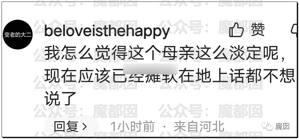 气炸！被碾压身亡小学生的母亲因为漂亮精致被网暴后跳楼自尽（组图） - 21