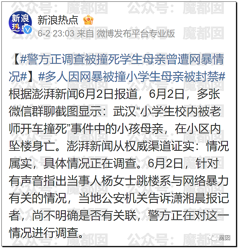 气炸！被碾压身亡小学生的母亲因为漂亮精致被网暴后跳楼自尽（组图） - 76