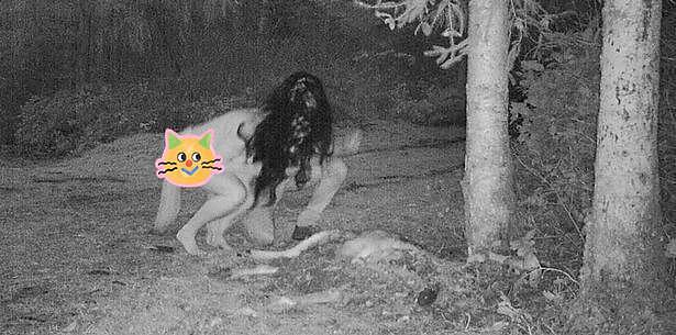 惊悚！两女子赤身裸体在夜间“啃食”野鹿，网友：可能是女巫（组图） - 1