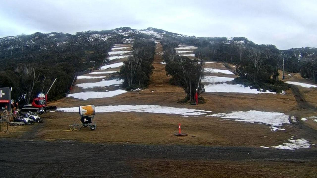 本周末滑雪季开始！专家却说：几十年来最糟糕季节，在草地上滑？（组图） - 2