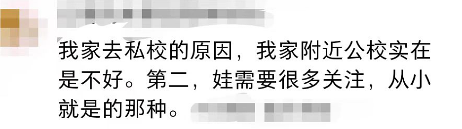 在澳洲，中产上私校等于被割韭菜？家有两娃的已哭晕在厕所…（组图） - 29