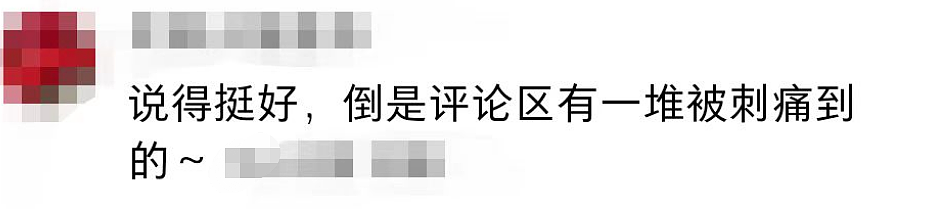 在澳洲，中产上私校等于被割韭菜了？家有两娃的已哭晕在厕所…（组图） - 33