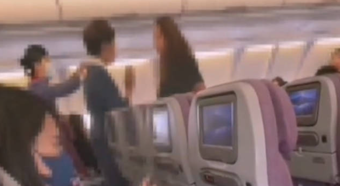 猪、丑女！日本女子暴怒辱骂华航空姐：不能说中文要讲日语！大闹机舱视频曝光（组图） - 5