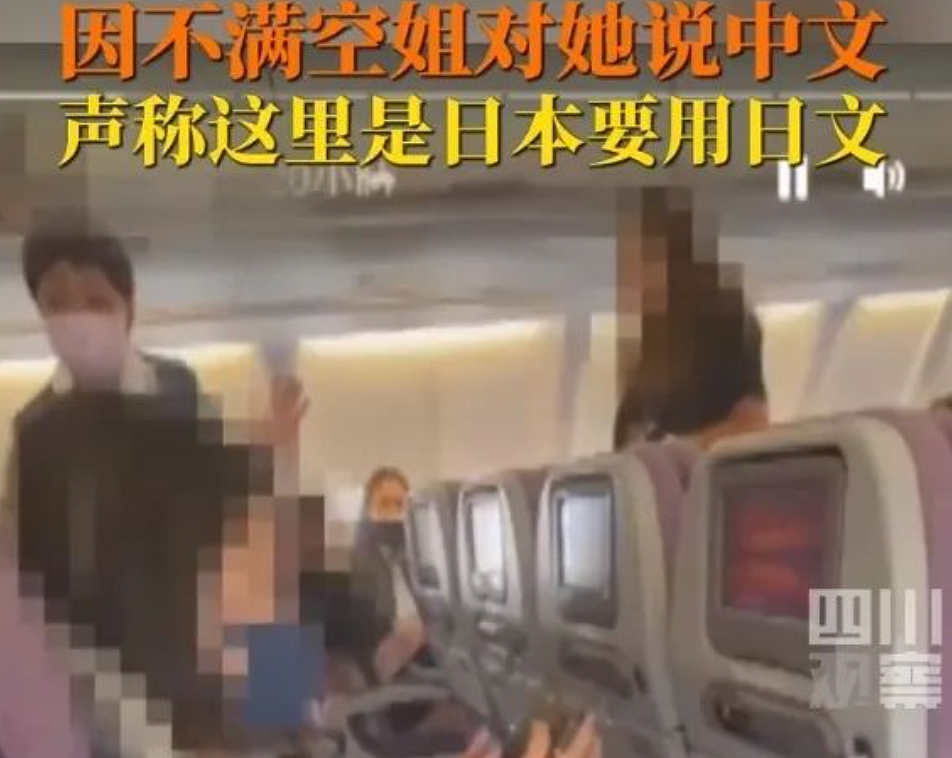 猪、丑女！日本女子暴怒辱骂华航空姐：不能说中文要讲日语！大闹机舱视频曝光（组图） - 2