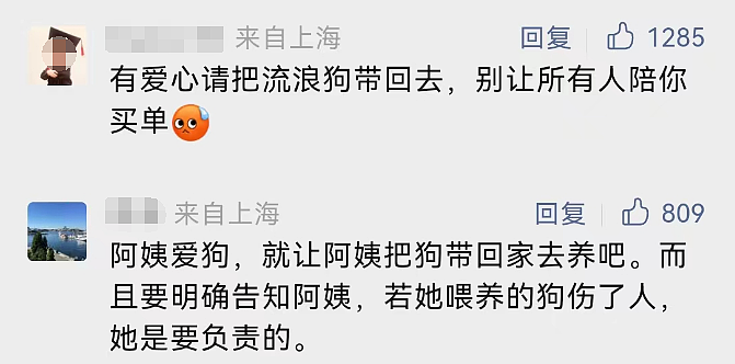上海一小区居民频遭流浪狗扑咬，多人受伤！网友：投喂者要担责（组图） - 10
