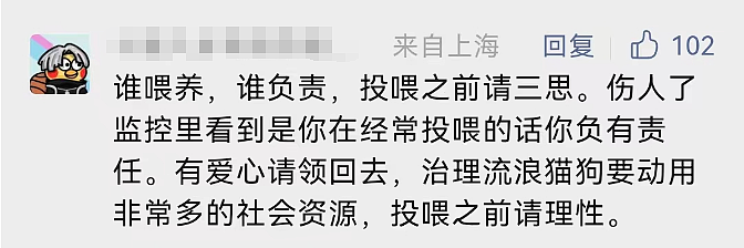 上海一小区居民频遭流浪狗扑咬，多人受伤！网友：投喂者要担责（组图） - 13