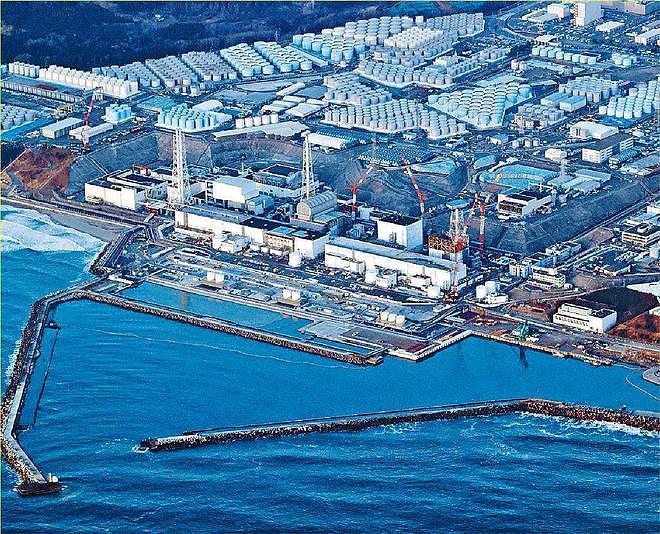 日本启动福岛核废水稀释入海计划！海鱼放射性元素超标180倍（组图） - 4