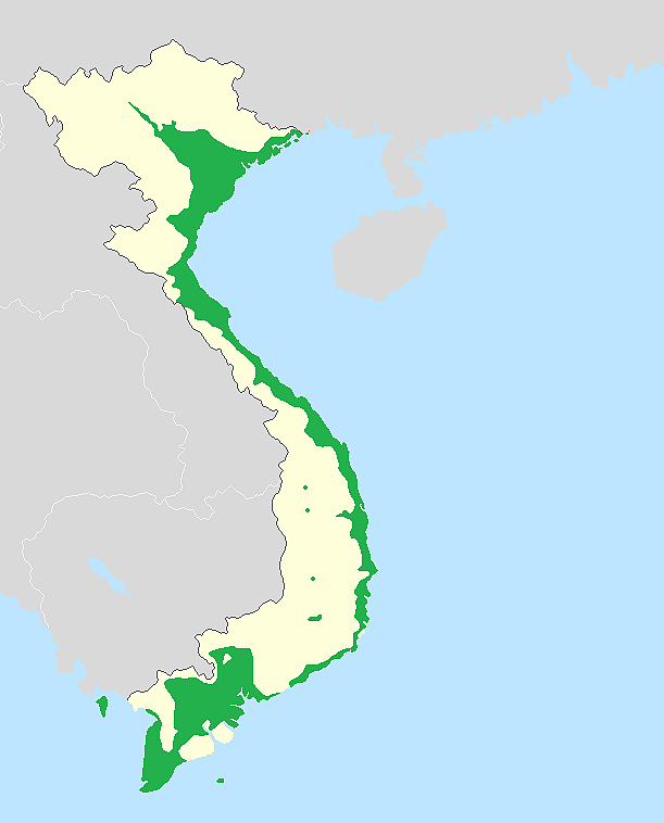 从第二大民族跌落至第九，越南华人为何越来越少？（组图） - 14