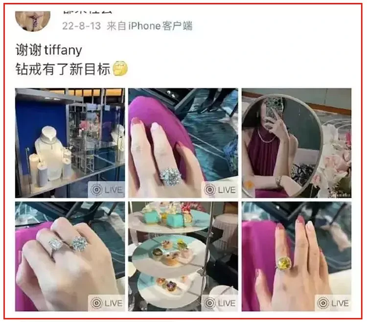 艺术照尺度直逼“艳照门”，与国企领导牵手的美女，究竟何方神圣（视频/组图） - 21