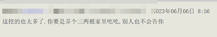 又上热搜！华人组团夜闯私家农场挖笋，价值上千刀，6人全被捕（组图） - 6