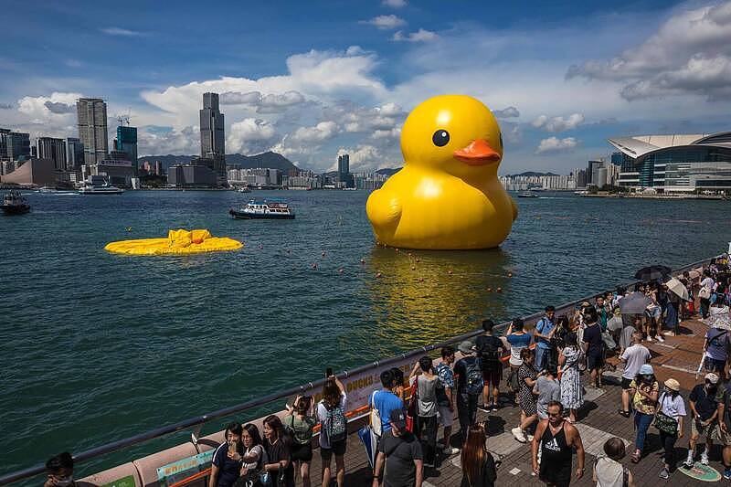 “黄色小鸭”重返香港！首日展出就炸了一个，漂浮水面！原因曝光（组图） - 1