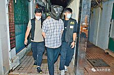 香港男子拍死仓鼠被捕！最高可罚20万及监禁3年（组图）