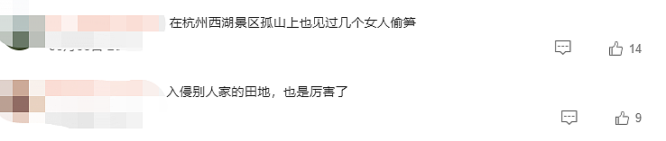 又上热搜！华人组团夜闯私家农场挖笋，价值上千刀，6人全被捕（组图） - 8