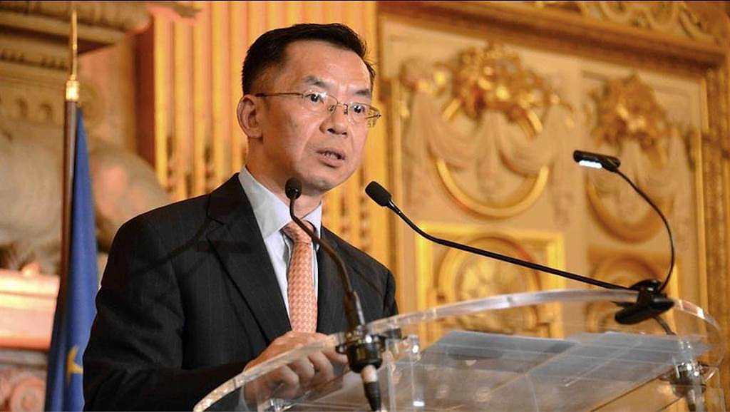 中国驻法大使卢沙野将返国，接掌对外友协会长（图） - 1