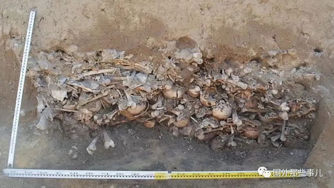 道路施工时挖出450具尸体，脑袋都被放在腿间，嘴里叼着硬币（组图） - 2
